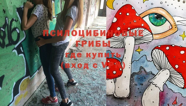 дживик Волосово