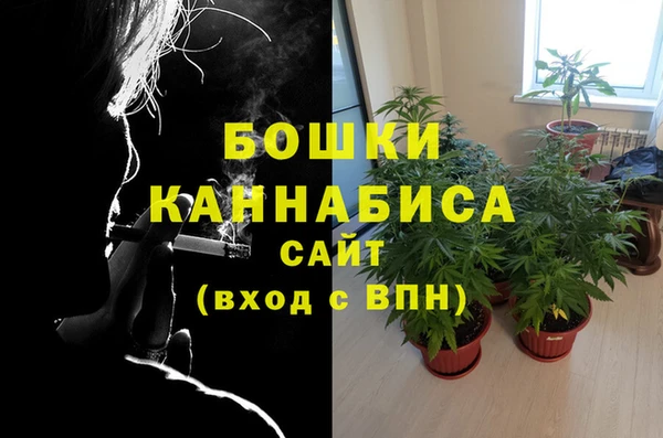 марки nbome Вяземский