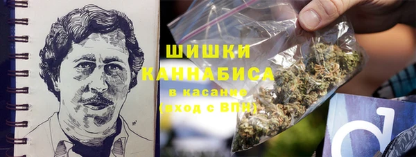марки nbome Вяземский